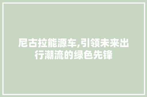 尼古拉能源车,引领未来出行潮流的绿色先锋 车身配件