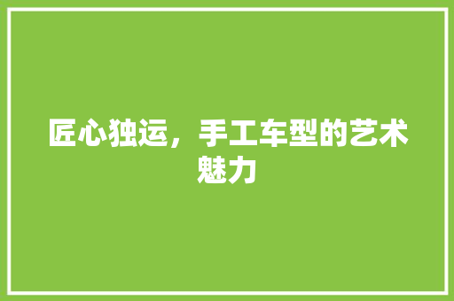 匠心独运，手工车型的艺术魅力