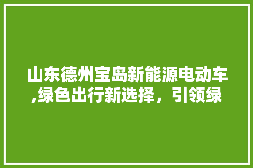 山东德州宝岛新能源电动车,绿色出行新选择，引领绿色未来
