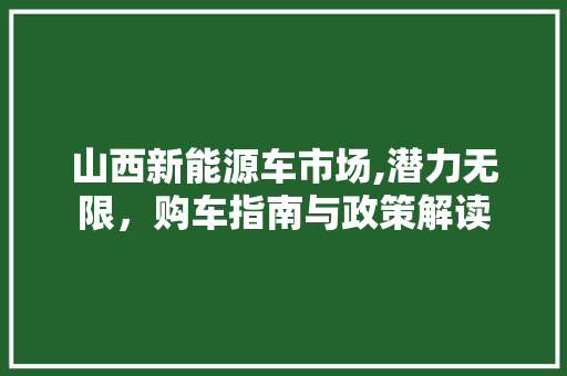 山西新能源车市场,潜力无限，购车指南与政策解读