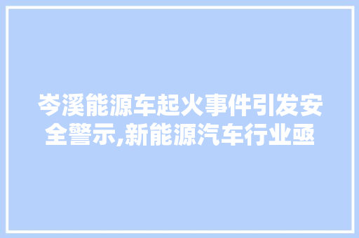 岑溪能源车起火事件引发安全警示,新能源汽车行业亟待加强安全监管
