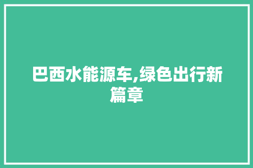 巴西水能源车,绿色出行新篇章
