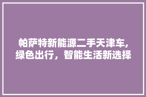 帕萨特新能源二手天津车,绿色出行，智能生活新选择