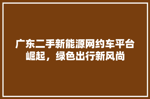 广东二手新能源网约车平台崛起，绿色出行新风尚
