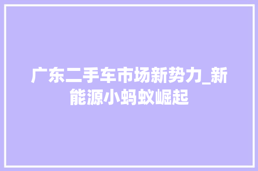 广东二手车市场新势力_新能源小蚂蚁崛起