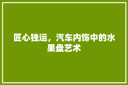 匠心独运，汽车内饰中的水果盘艺术