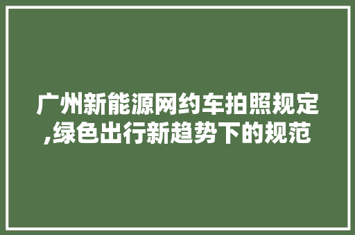 广州新能源网约车拍照规定,绿色出行新趋势下的规范与机遇
