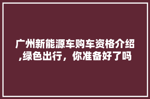 广州新能源车购车资格介绍,绿色出行，你准备好了吗 车身配件