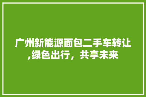 广州新能源面包二手车转让,绿色出行，共享未来
