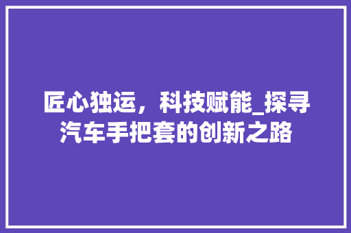 匠心独运，科技赋能_探寻汽车手把套的创新之路