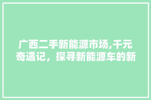 广西二手新能源市场,千元奇遇记，探寻新能源车的新生力量 变速箱配件