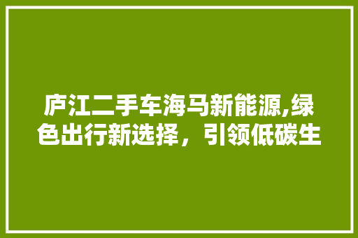 庐江二手车海马新能源,绿色出行新选择，引领低碳生活潮流 蓄电池配件