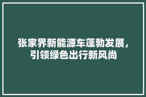 张家界新能源车蓬勃发展，引领绿色出行新风尚
