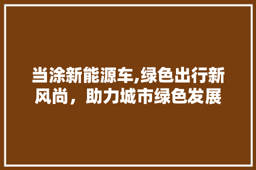 当涂新能源车,绿色出行新风尚，助力城市绿色发展 车身配件
