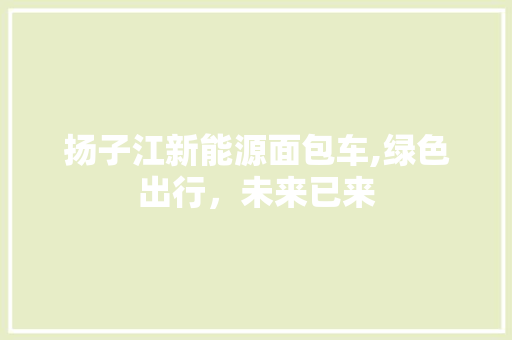 扬子江新能源面包车,绿色出行，未来已来