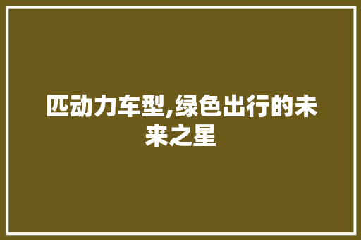 匹动力车型,绿色出行的未来之星