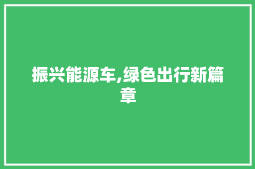 振兴能源车,绿色出行新篇章