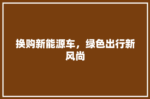 换购新能源车，绿色出行新风尚