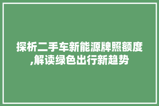 探析二手车新能源牌照额度,解读绿色出行新趋势