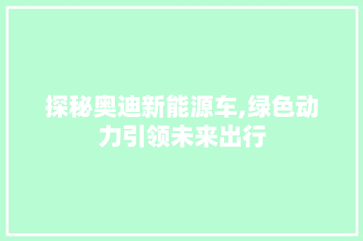 探秘奥迪新能源车,绿色动力引领未来出行