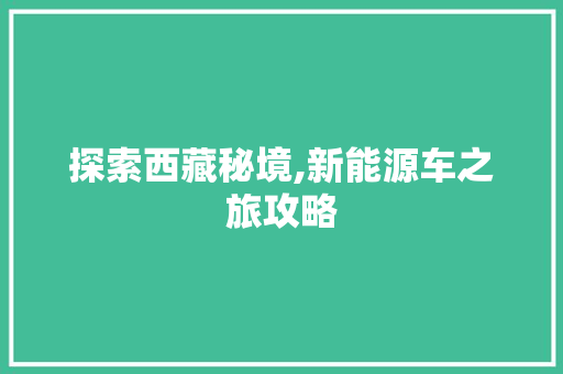 探索西藏秘境,新能源车之旅攻略