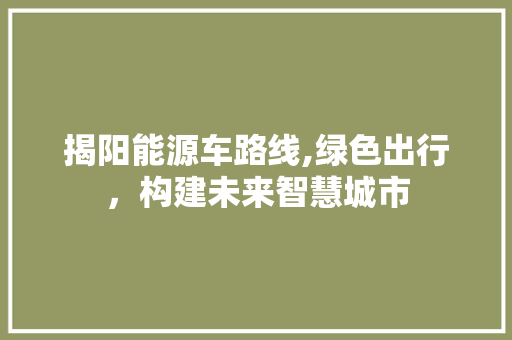 揭阳能源车路线,绿色出行，构建未来智慧城市