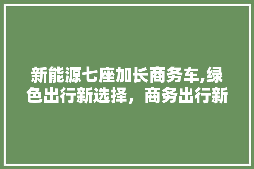 新能源七座加长商务车,绿色出行新选择，商务出行新标杆