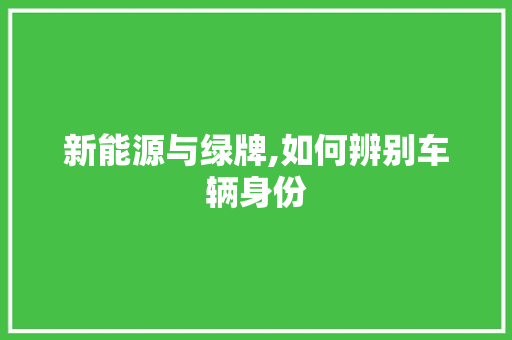 新能源与绿牌,如何辨别车辆身份