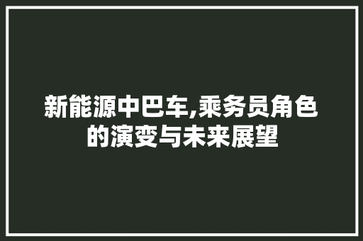 新能源中巴车,乘务员角色的演变与未来展望