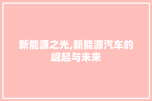 新能源之光,新能源汽车的崛起与未来