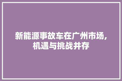 新能源事故车在广州市场,机遇与挑战并存