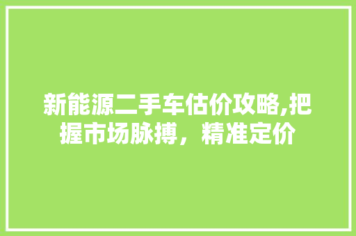 新能源二手车估价攻略,把握市场脉搏，精准定价
