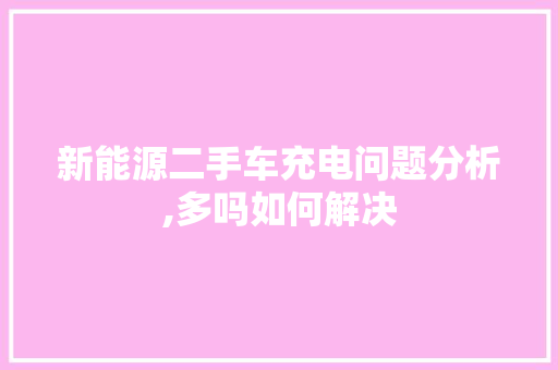 新能源二手车充电问题分析,多吗如何解决