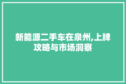 新能源二手车在泉州,上牌攻略与市场洞察
