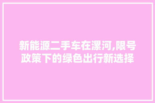 新能源二手车在漯河,限号政策下的绿色出行新选择