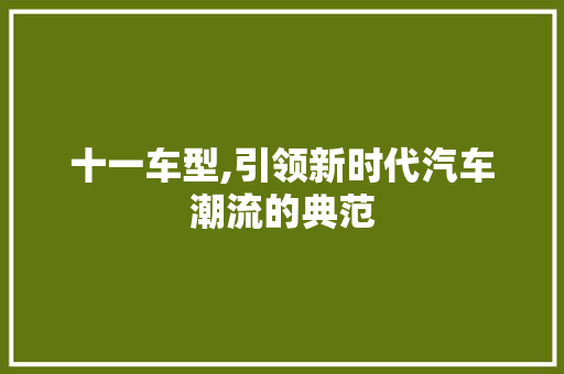 十一车型,引领新时代汽车潮流的典范