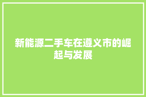 新能源二手车在遵义市的崛起与发展