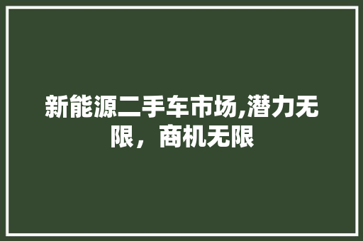 新能源二手车市场,潜力无限，商机无限 蓄电池配件