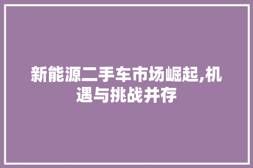 新能源二手车市场崛起,机遇与挑战并存 车灯配件