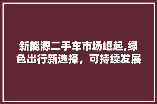 新能源二手车市场崛起,绿色出行新选择，可持续发展新篇章
