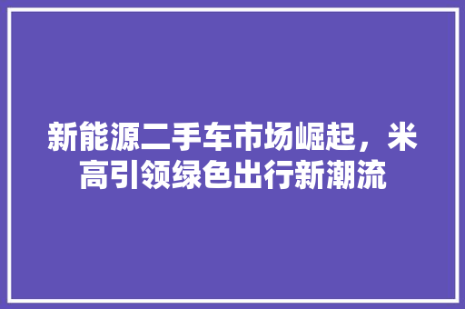 新能源二手车市场崛起，米高引领绿色出行新潮流 汽车配件