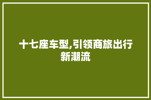 十七座车型,引领商旅出行新潮流