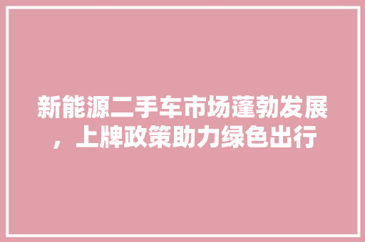新能源二手车市场蓬勃发展，上牌政策助力绿色出行 车灯配件