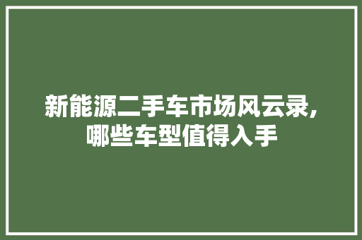 新能源二手车市场风云录,哪些车型值得入手
