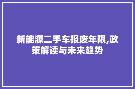 新能源二手车报废年限,政策解读与未来趋势