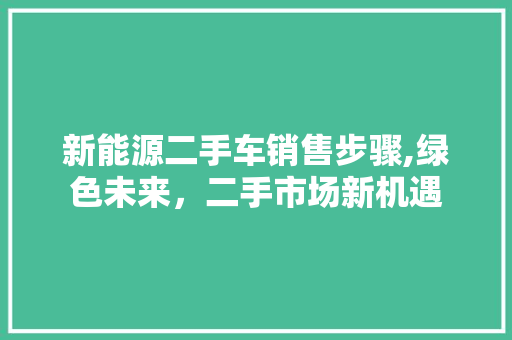 新能源二手车销售步骤,绿色未来，二手市场新机遇