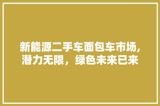 新能源二手车面包车市场,潜力无限，绿色未来已来