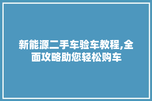 新能源二手车验车教程,全面攻略助您轻松购车