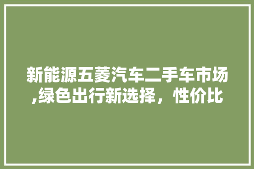 新能源五菱汽车二手车市场,绿色出行新选择，性价比高受青睐
