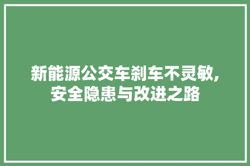 新能源公交车刹车不灵敏,安全隐患与改进之路